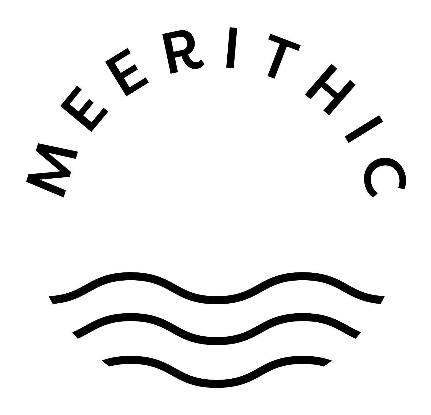 Meeritich logo, Aestus recenzije klijenata